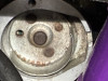 image1.jpeg